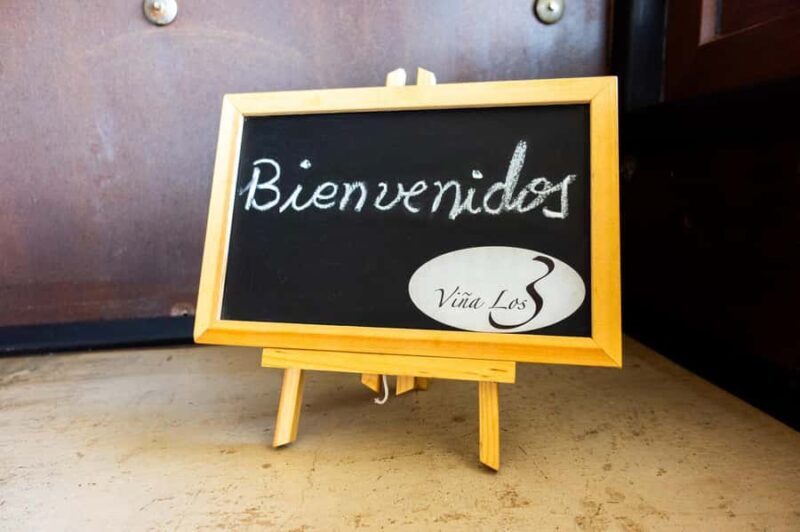 The hidden wineries of Maipo - The Tasting Experiences