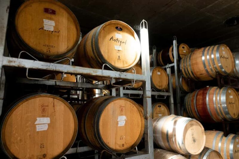 The hidden wineries of Maipo - Who Will Love This Tour?