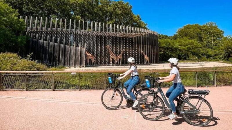 The highlights of Lyon with an electric bike - Discover Lyon from the Seat of an Electric Bike