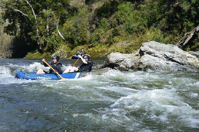 The Hobbit Barrel Run Rafting Tour on the Pelorus River - A Deep Dive into the Hobbit Barrel Run Rafting Experience