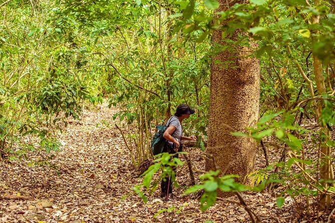 The Howling Trail Hike - A Closer Look at the Howling Trail Hike