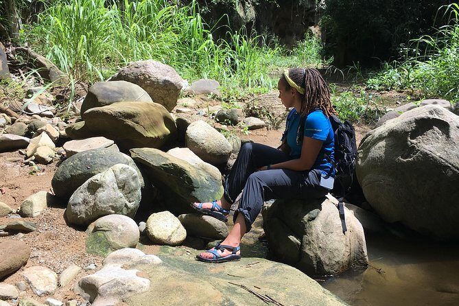 The Jaguar´s Footprint: Hike and Music Day Trip from Cartagena - An Authentic Day in the Colombian Countryside