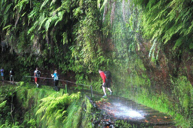 The King's Levada - Levada do Rei - The King’s Levada - Levada do Rei: An Authentic Madeira Hiking Experience