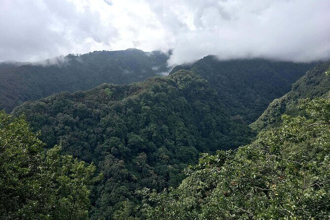 The King's Levada - Levada do Rei - Key Points