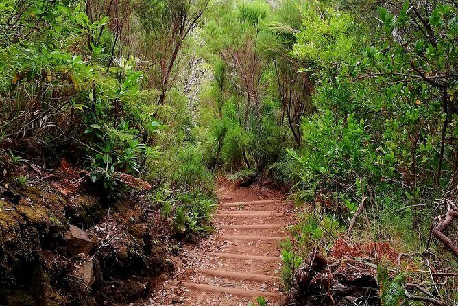 The Lakes Walk - A Close Look at The Lakes Walk Experience