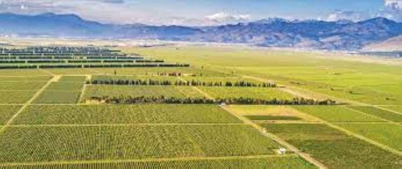 The largest winery in Montenegro: private tour & transport - Value and Practical Considerations