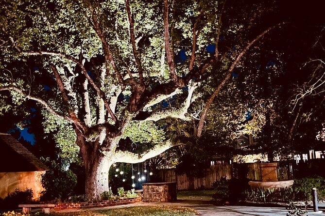 The Last Ride Private Golf Cart Ghost Tour for up to 5 people! - Detailed Tour Breakdown