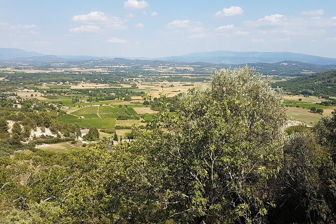 The Lavender country - Private tour with a local guide - Final Thoughts