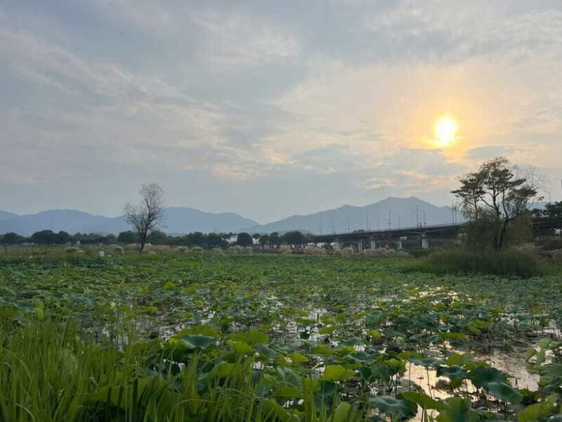 The Life Relaxation Found in Pocheon Tour:2-day,1-night Tour - Frequently Asked Questions