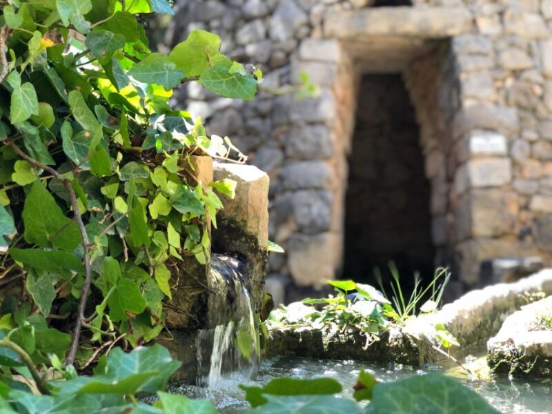 The Limestone Heritage Park and Gardens (Entry Ticket) - Key takeaways