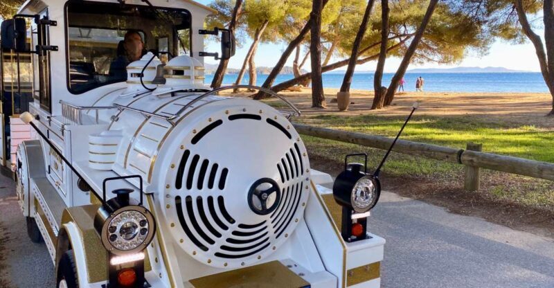The Little Train of La Londe-les-Maures - The Little Train of La Londe-les-Maures
