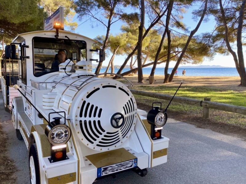 The Little Train of La Londe-les-Maures - Who Should Consider This Tour?