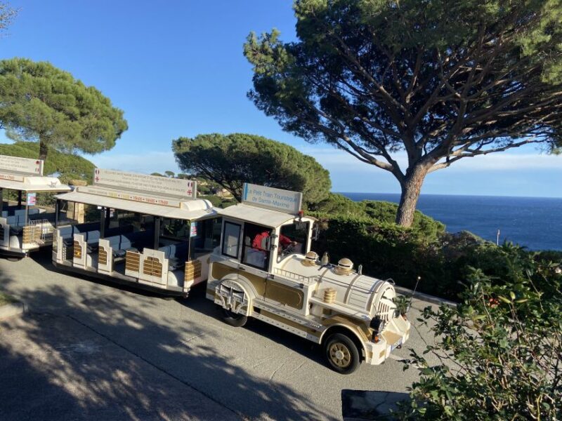 The Little Train of Sainte-Maxime - An In-Depth Look at the Experience