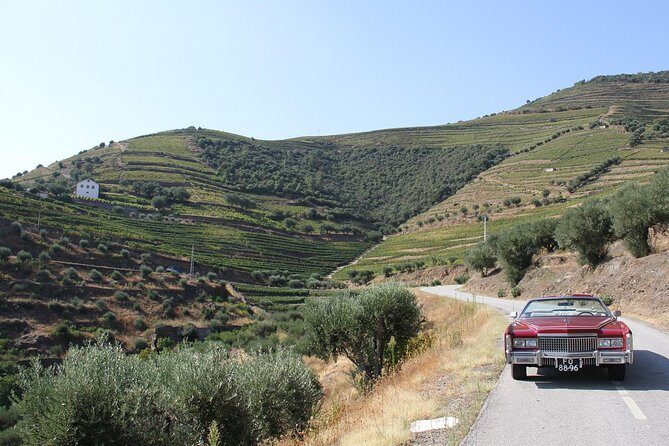 The Luxury Douro tour - Final Thoughts