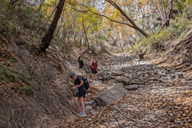 The M of Chipinque: Advanced Hiking with Panoramic Views of Monterrey - An In-Depth Look at the Tour Experience