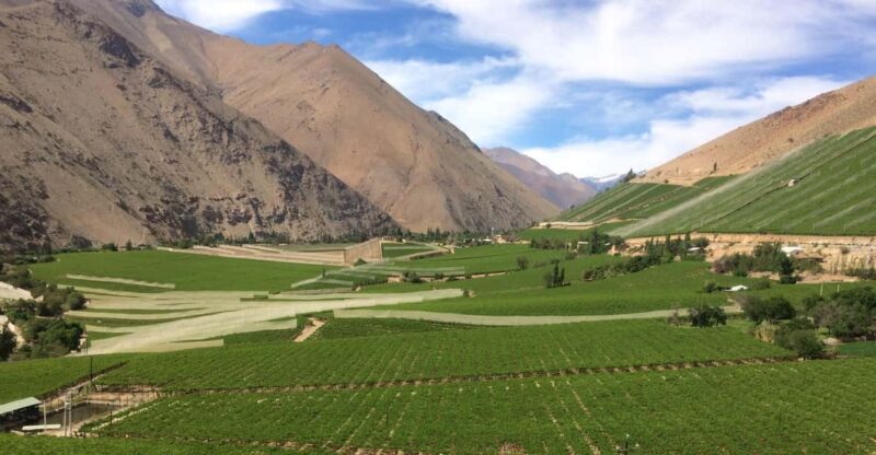 The Magnificient Elqui Valley Grand Tour - Introduction: A Day in the Heart of the Andes