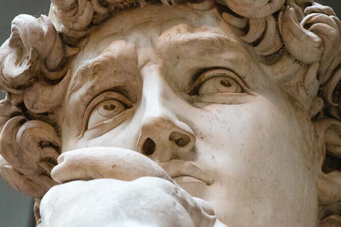 The Medici family and the Renaissance with a local art historian - Key Points