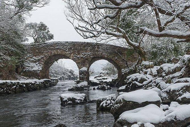 The Meeting of the Waters, Dinis Island, Lakes of Killarney (Minimum 6 people) - An In-Depth Look at the Lakes of Killarney Boat Tour