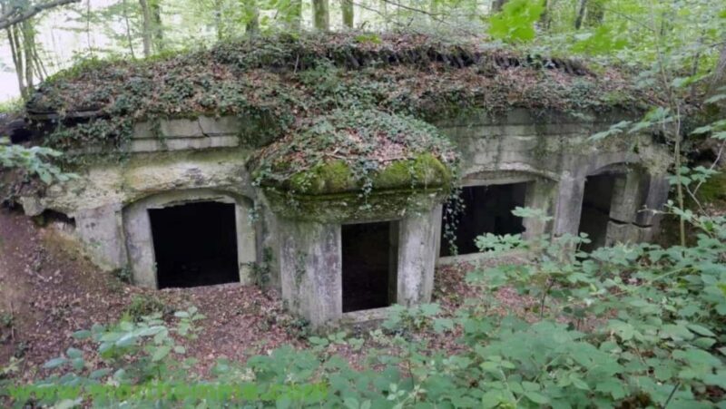 The Meuse-Argonne Battlefield departure from Verdun or Reims - An Authentic Journey Through the Meuse-Argonne Battlefields
