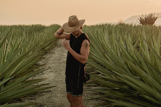 The Mezcal Journey - An Authentic Taste of Oaxaca: The Mezcal Journey