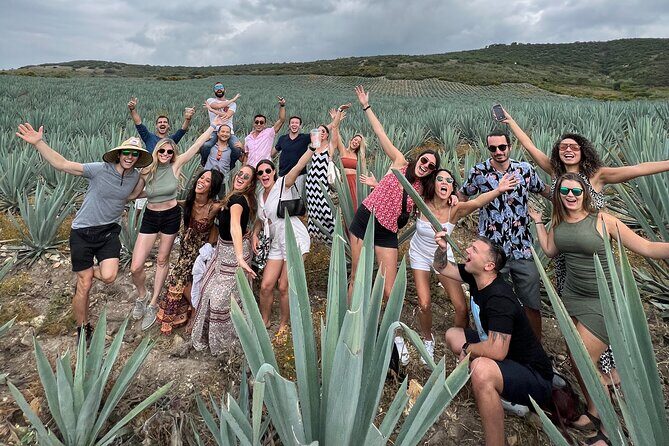 The Mezcal Journey - Exploring Oaxaca’s Mezcal Culture: A Deep Dive