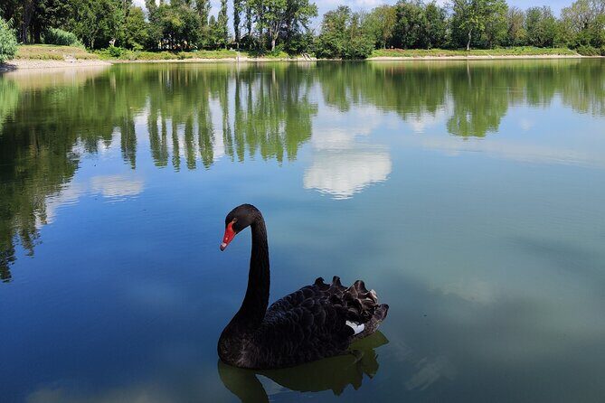 The Milan you don't expect, bike tour with picnic on the lake - The Milan You Dont Expect: Bike Tour with Picnic on the Lake