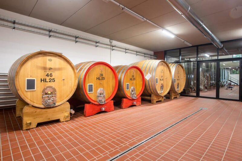 The MONSU: Winetasting in La Morra. - FAQ