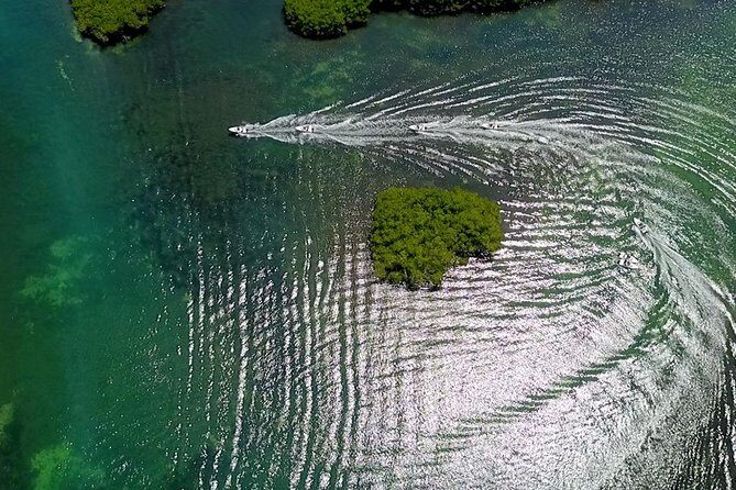 The most EXTREME SPEEDBOAT TOUR in Cancun. Includes Snorkel and Tour Guide - Who Will Enjoy This Tour?