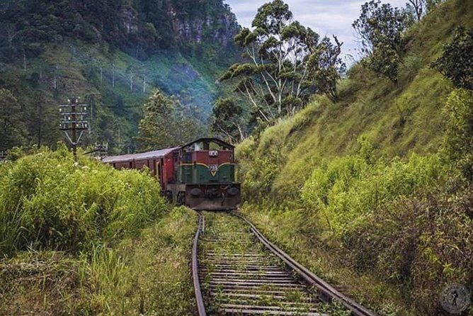 The Most Recommended Round Tour in Sri Lanka - Scenic Train Ride from Nanu Oya to Ella