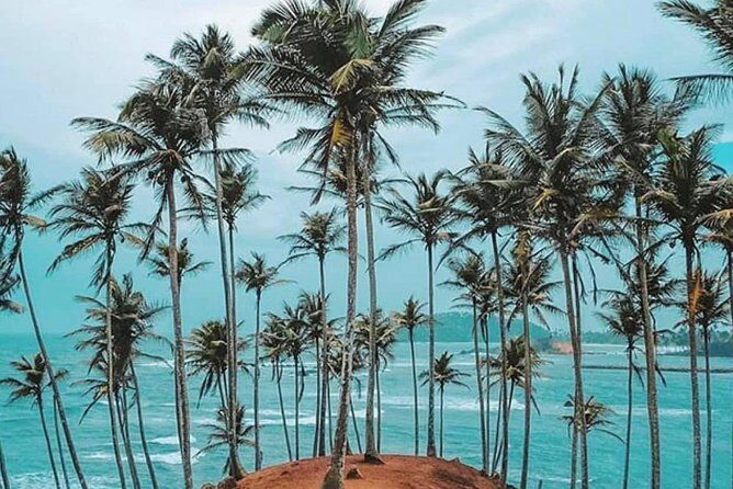 The Most Recommended Round Tour in Sri Lanka - Iconic Ella Sights: Nine Arches Bridge and Little Adam’s Peak