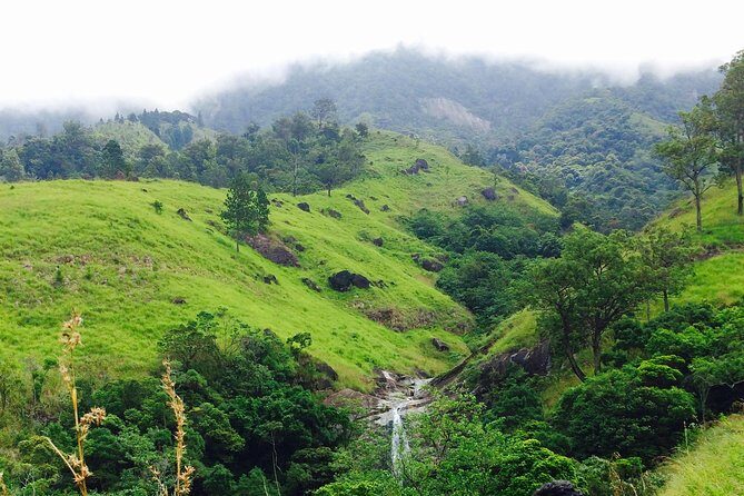 The Most Recommended Round Tour in Sri Lanka - Coastal Beauty and Whale-Watching in Mirissa