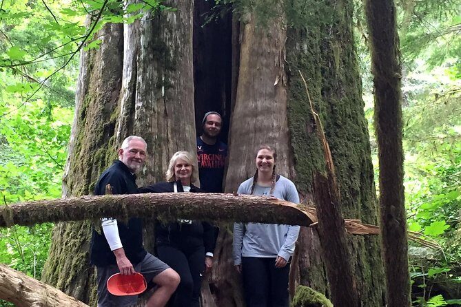 The Mt St Helens Adventure Tour from Portland - A Deep Dive into the Mt. St. Helens Adventure Tour