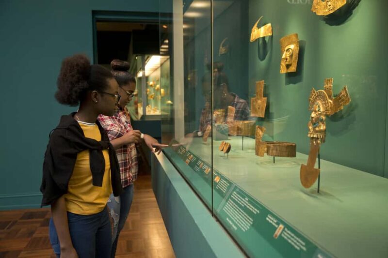 The Museum of Fine Arts, Houston Entry Ticket - Touring the Galleries