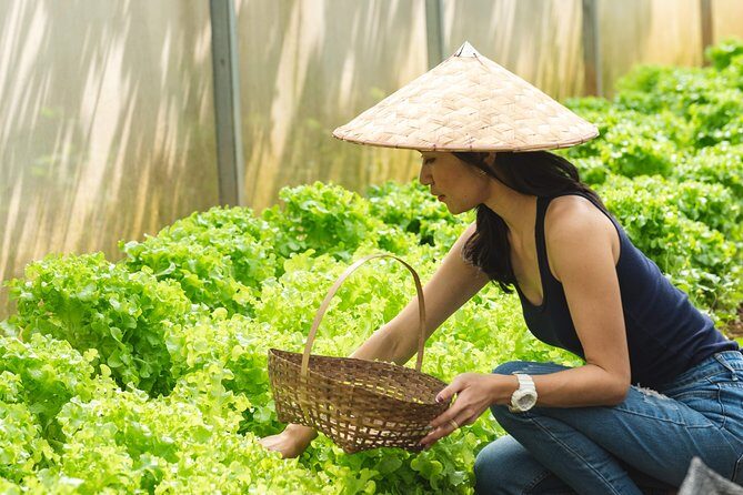 The Namkhan - Cooking Class - An In-Depth Look at the Namkhan Cooking Class