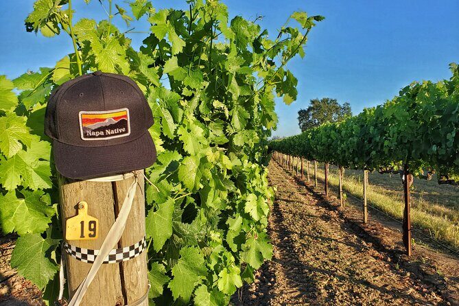 The Napa Native Experience - A Deep Dive into the Napa Native Experience