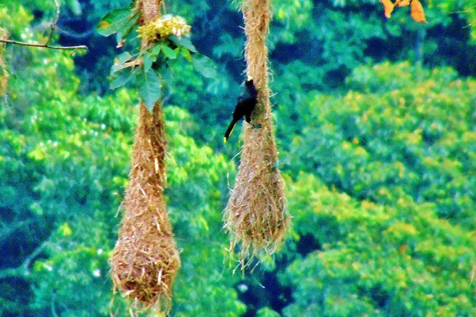 The Native Expedition - Sierra Nevada (2 days Discovering Chorrerón waterfall) - Day One: Walking, Learning, and Connecting