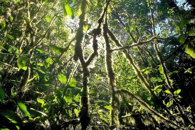 The Native Expedition - Sierra Nevada (4 days path Of Waterfalls) - Key Points