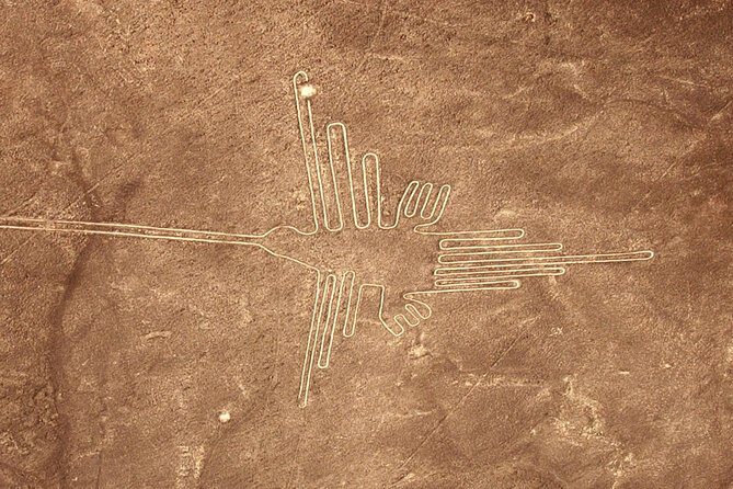 The Nazca Lines & Huacachina Oasis from Lima - Private Trip - Practical Details and Considerations