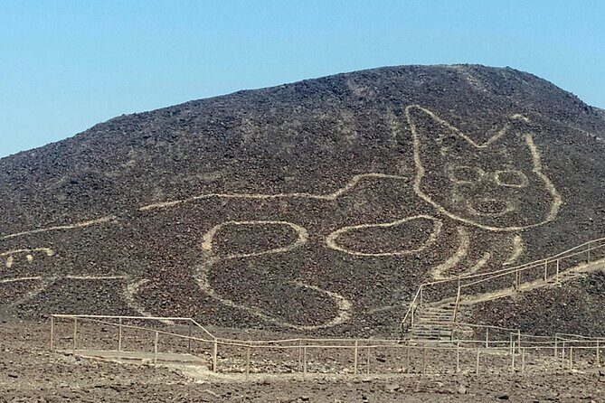 The Nazca Lines, Paracas & Huacachina Oasis (2D/1N) Private Trip - What Makes This Tour Stand Out?