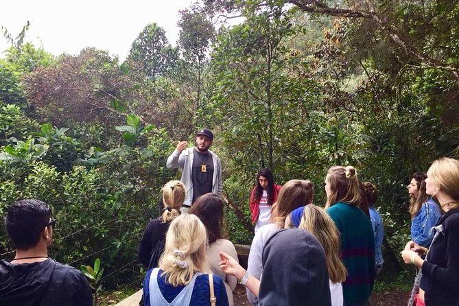 The "not polite to use his name" City Tour - Authenticity and Balance