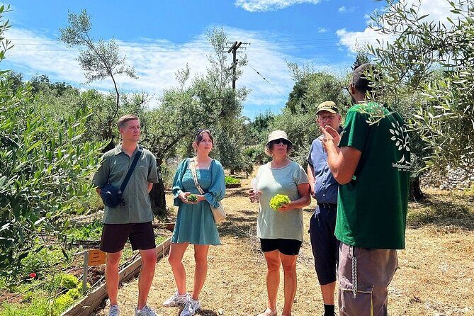 The Olive Oil Experience @ Lefkada Micro Farm - Who Should Consider This Tour?