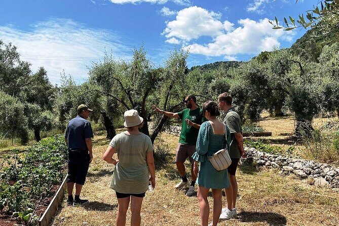 The Olive Oil Experience @ Lefkada Micro Farm - Frequently Asked Questions