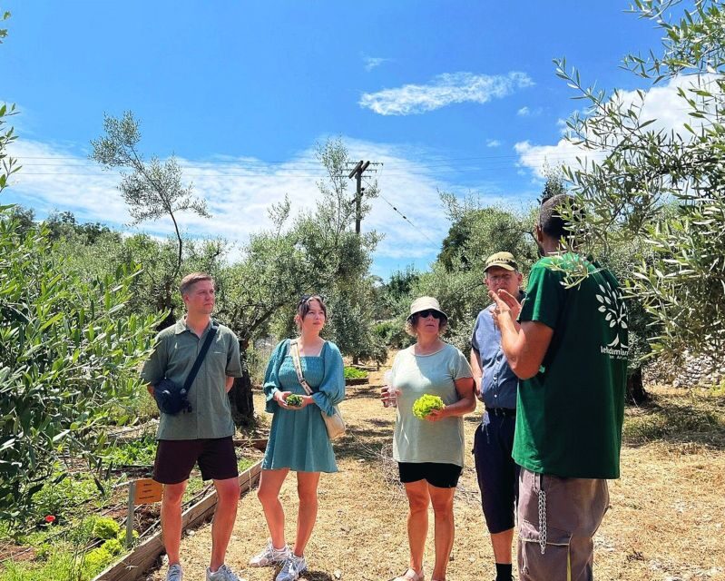 The Olive Oil Experience @ Lefkada Micro Farm - The Olive Oil Experience @ Lefkada Micro Farm