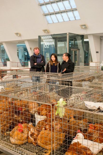 The Only Fish Market Tasting Tour, Sea to Table - Final Thoughts