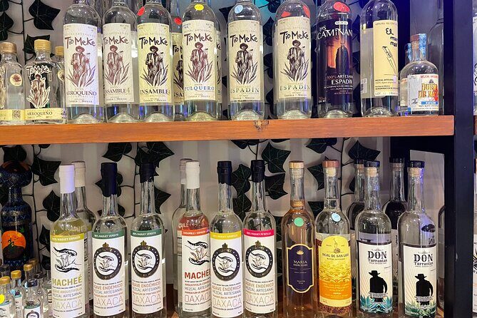 The Only Vegan Tacos and Mezcal Tasting Tour - Who Should Consider This Tour?