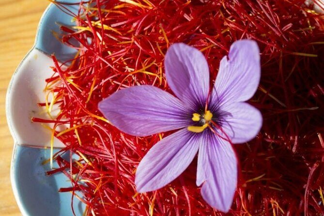 The Orange gold of San Gimignano: The Saffron DOP Cooking Class - An In-Depth Look at the Saffron DOP Cooking Class