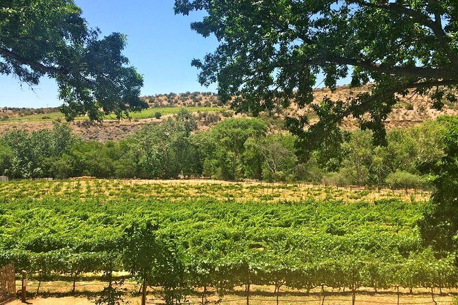 The Original 4 Winery Tour with Charcuterie - A Deep Dive into the Verde Valley Wineries