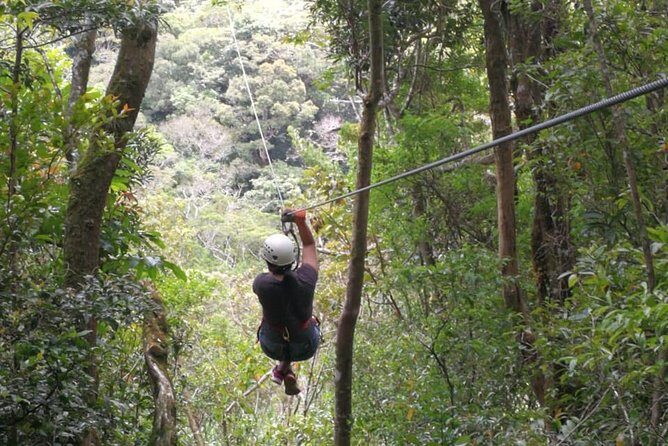 The Original Canopy Tour Monteverde, Zipline - A Closer Look at the Monteverde Zipline Adventure