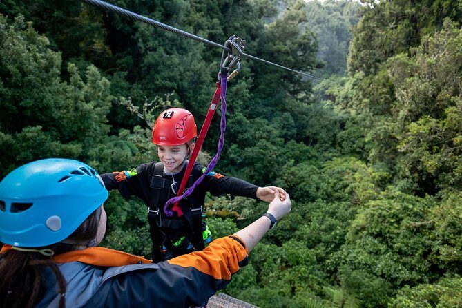 The Original Canopy Zipline Experience Private Tour From Auckland - Key Points