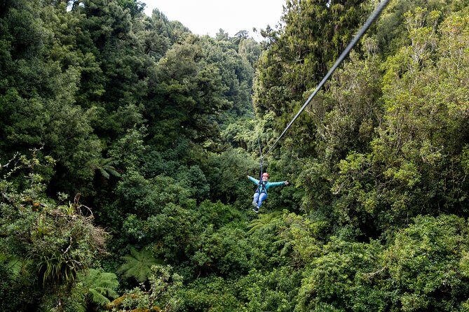 The Original Canopy Zipline Experience Private Tour From Auckland - Discovering Auckland’s Canopy: An In-Depth Review